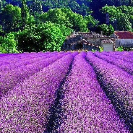 Villa En Provence