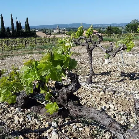 En Provence Villa