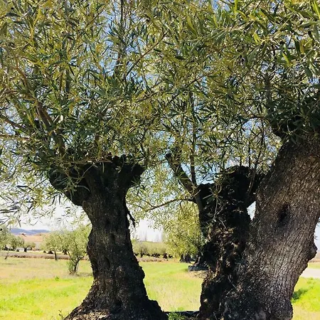 Villa En Provence Tulette